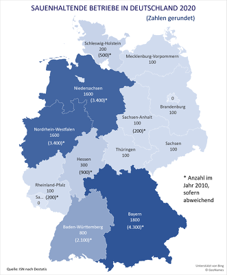 Die Aufgaberate mit bei Sauenhaltern fällt besonders hoch aus