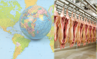 Unterm Strich erwartet das USDA für die globale Fleischerzeugung moderate Zuwächse aber einen rückläufigen globalen Handel (Bild ©Canva)