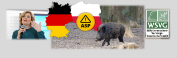 Eine grenzüberschreitende Kommunikation und Zusammenarbeit mit Blick auf die ASP-Vorbeugung und die Bekämpfung ist enorm wichtig (Bildquellen: © Messe Berlin GmbH; www.wildtier-svg.de)