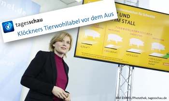 „Klöckners Tierwohllabel vor dem Aus“ titelte das ARD-Hauptstadtstudio am 10.06.21. ©BMEL/Photothek, tagesschau.de