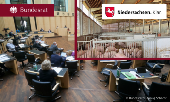 Mit einer Bundesratsinitiative fordert Niedersachsen den Bund auf, seine Rechtsvorschriften so zu überarbeiten, dass Tierhalter mehr Tierwohl in ihren Betrieben auch umsetzen können.