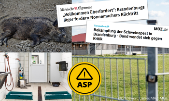 Debatte über Grund für ASP-Ausbruch in Brandenburg – ISN: Jetzt Ursache finden und Defizite unverzüglich abstellen!