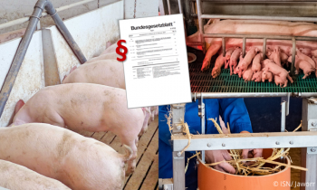 Mit der Veröffentlichung im Bundesgesetzblatt ist die Novellierung der Tierschutz-Nutztierhaltungsverordnung in Kraft getreten (Bilder: ISN/ Jaworr)