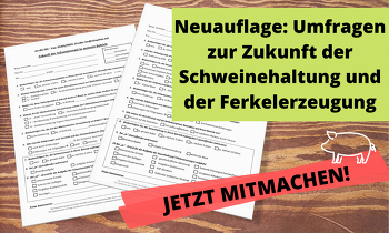 Neuauflage: ISN-Umfragen zur Zukunft der Schweinemast und Ferkelerzeugung. Jetzt mitmachen!