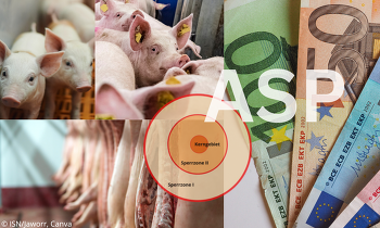Durch ASP-Restriktionen im Emsland ist für die landwirtschaftlichen Betriebe ein Schaden von mindestens 15 Mio. Euro entstanden. Die ISN fordert eine Entschädigung.