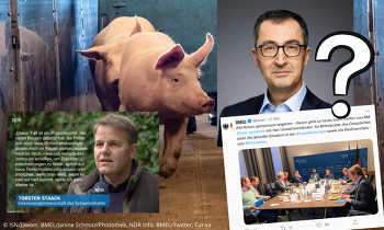 Der Bundeslandwirtschaftminister lässt die schweinehaltenden Betriebe bei der Krisenbewältigung im Stich.
