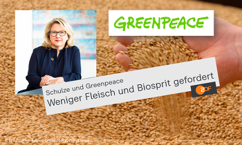 Weniger Fleisch essen und Tierbestände abbauen - das fordern Entwicklungsministerin Svenja Schulze und die Umweltorganisation Greenpeace. ©BPA/Steffen Kugler, Greenpeace, ZDF, Canva