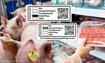 Das Bundeskabinett hat heute dem Entwurf zum Tierhaltungskennzeichengesetz zugestimmt. Aus Sicht der ISN weist der Entwurf nach wie vor zu viele Mängel auf. ©ISN/Jaworr, Canva, BMEL