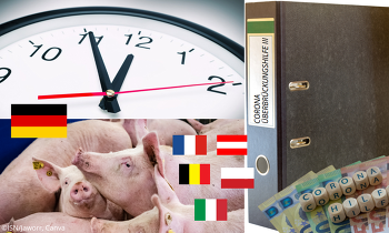 Es muss endlich für Klarheit bei den Überbrückungshilfen für Schweinehalter gesorgt werden ©ISN/Jaworr, Canva