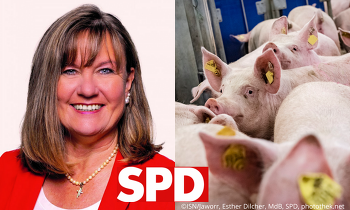 Die SPD-Berichterstatterin für den Agraretat, Esther Dilcher, kritisiert den unzureichenden Mittelabfluss im Agrarhaushalt ©ISNJaworr, Esther Dilcher, MdB, SPD, Photothek.net