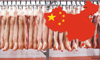 Header China Schweinefleisch(1)