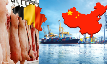 Belgien darf wieder Schweinefleisch nach China ausführen. ©Canva