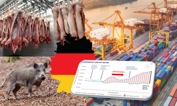 Schweinestau wieder gewachsen – Wiederöffnung der Exportmärkte dringend notwendig