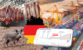 Schweinestau wieder gewachsen – Wiederöffnung der Exportmärkte dringend notwendig