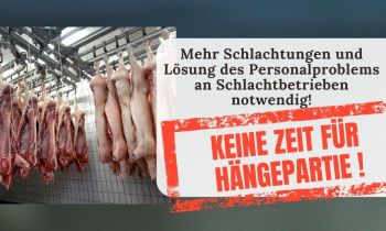 Wöchentlich fehlen weiterhin mindestens 80.000 Schlachtungen