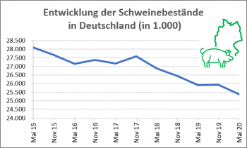 Der Strukturwandel in der deutschen Schweinehaltung setzt sich fort. Seit einigen Jahren bewegt sich der Schweinebestand rückläufig.(Quelle: ISN nach Destatis)