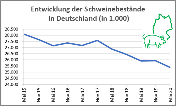 Der Strukturwandel in der deutschen Schweinehaltung setzt sich fort. Seit einigen Jahren bewegt sich der Schweinebestand rückläufig.(Quelle: ISN nach Destatis)