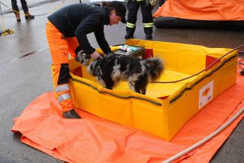 ASP-Tierseuchenübung in Baden-Württemberg: Dekontamination eines Suchhundes nach der Suche ©Landratsamt Ludwigsburg