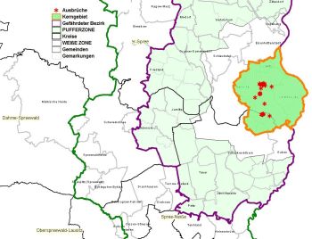 Karte: Weiße Zone um das erste Kerngebiet (MSGIV Brandenburg)