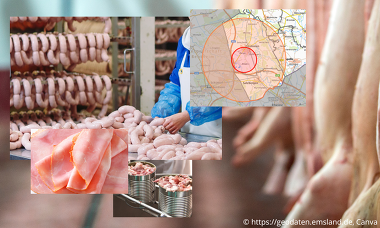 Nadelöhr: Die Fleischverarbeiter dürfen sich jetzt nicht wegducken, sondern sollten sich mit Lösungen beschäftigen, wie das Fleisch aus den Restriktionsgebieten weiterverarbeitet werden kann
