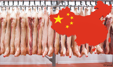 Das USDA geht davon aus, dass Chinas Schweinefleischimporte  in diesem Jahr wieder steigen steigen werden. Rekordeinfuhren wie in 2020 und 2021 sind allerdings auszuschließen (Bild ©Canva)