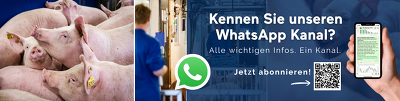 ISN WhatsAppKanal Banner Newsletter