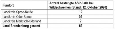 Anzahl bestätigte ASP-Fälle bei - Wildschweinen (Quelle: https://msgiv.brandenburg.de)