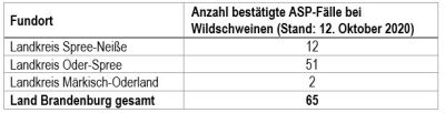 Anzahl bestätigte ASP-Fälle bei
 - Wildschweinen (Quelle: https://msgiv.brandenburg.de)