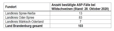 Aktueller Stand der ASP-Fälle in Brandenburg (Quelle: MSGIV)