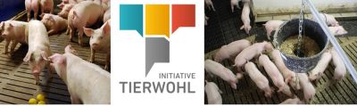 Itw Schweine