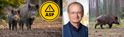 Prof. Thomas Mettenleiter, Präsident des Friedrich-Loeffler Instituts, stuft den notwendigen Schutz vor der Afrikanischen Schweinepest (ASP) auch während des derzeitige Corona-Geschehens als wichtig ein (Bildquelle: https://www.fli.de/de/ueber-das-fli/das-fli/leitung/)