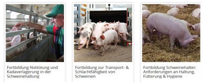 Fortbildungsangebot der Landakademie für Schweinehalter