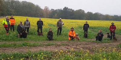 Sieben Hunde, die zuvor bereits als Jagdhunde eingesetzt wurden, haben ihre Zusatzausbildung zum Suchhund erfolgreich absolviert und können nun in Brandenburg effizient zur Kdaversuche eingesetzt werden (MSGIV)