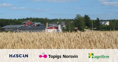 Gemeinschaftsprojekt von HKScan, Topigs Norsvin und Agrifirm ©Topigs Norsvin