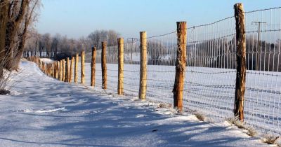 Festzaun bei Friedland © Landkreis Oder-Spree