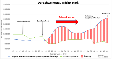 Der Schweinestau ist schon auf über 540.000 Schweine angewachsen – und er steigt weiter.