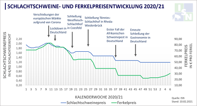 Erzeugerpreis: Corona hat zu erheblichen Erlöseinbußen in der Schweinehaltung geführt