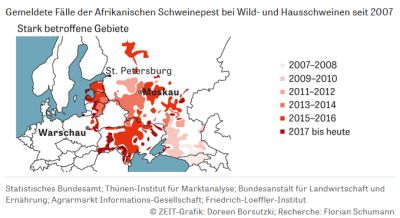 Viele ursprünglich betroffene Gebiete in Russland sind heute wieder ASP-frei, die spezialisierte Schweinefleischerzeugung wächst