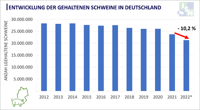 Innerhalb von einem Jahr ist die Anzahl der gehaltenen Schweine in Deutschland um 10,2 % zurückgegangen. ©ISN nach Destatis, Stand 03. November 2022
