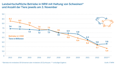 Die Zahl der NRW-Betriebe mit Schweinehaltung ist seit 2013 um 35 % gesunken. ©IT.NRW