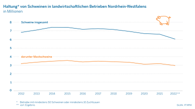 Entwicklung des Schweinebestandes in NRW © IT NRW