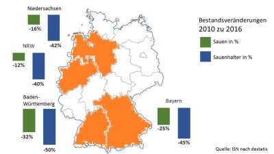 Viele Sauenhalter sind in den vergangenen Jahren aus der Produktion ausgestiegen