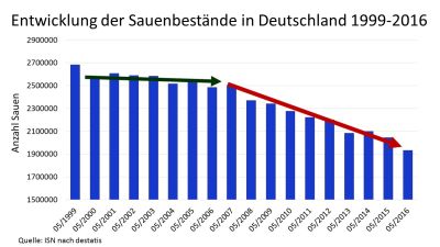 Seit 1999 ist der Sauenbestand um 23% gesunken