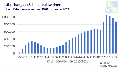 Entwicklung beim Abbau des Schweinestaus ©ISN