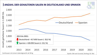 Seit 2013 hat die Anzahl der gehaltenen Sauen in Deutschland deutlich abgenommen, im Gegensatz dazu baut Spanien in gleichem Maß seinen Sauenbestand weiter aus. ©ISN nach Eurostat
