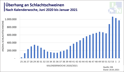 Schweinestau: Der Überhang an schlachtreifen Schweinen konnte in der vergangenen Woche um etwa 60.000 Tiere reduziert werden