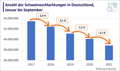 Die Anzahl der Schweineschlachtungen in Deutschland ist seit Anfang des Jahres erneut deutlich zugegangen und das, obwohl sich die Schlachtzahlen durch den Schweinestau über den Jahreswechsel 2020/2021 erheblich nach hinten verschoben haben. ©ISN nach Destatis