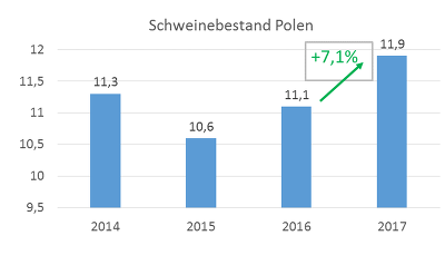 Der Schweinebestand in Polen ist 2017 gewachsen