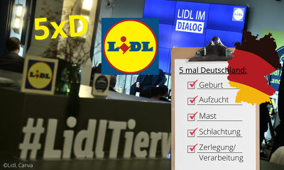 Der Zug rollt: Nach Rewe und ALDI kündigt auch Lidl an, bei Schweinefleisch auf 5xD zu setzen (Bild ©Lidl, Canva)