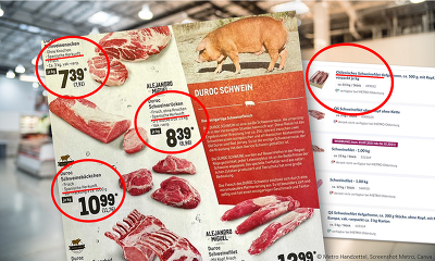 Die Metro wirbt weiterhin munter für Schweinefleisch aus Chile und Spanien - Ist dem Großhändler die heimische Erzeugung so egal? (Bild: Handzettel Metro, Screenshot https://produkte.metro.de/shop/search?q=schweinefilet, Canva)